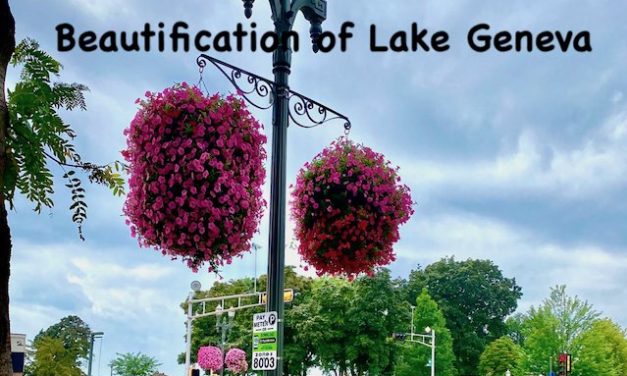 Our Place, August 12, 2020