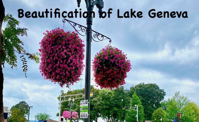 Our Place, August 12, 2020