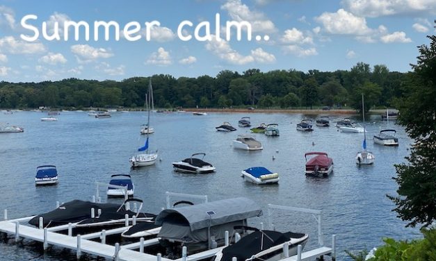 Surprising Stuff, August 19, 2020