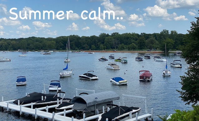 Surprising Stuff, August 19, 2020