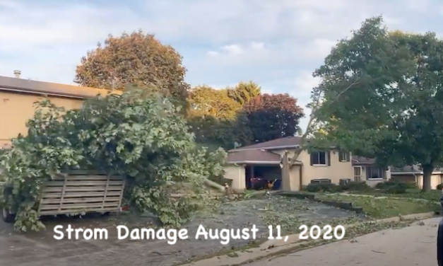 Living Here, August 12, 2020