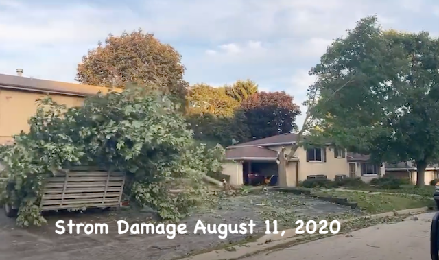 Living Here, August 12, 2020