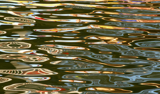 Opinion/Editorial, August 12, 2020