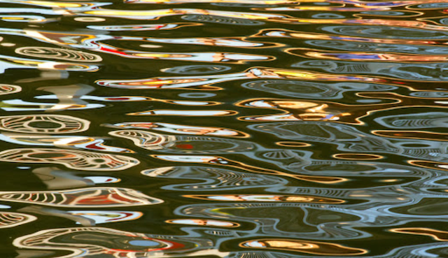 Opinion/Editorial, August 12, 2020