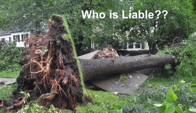 Surprising Stuff, September 2, 2020