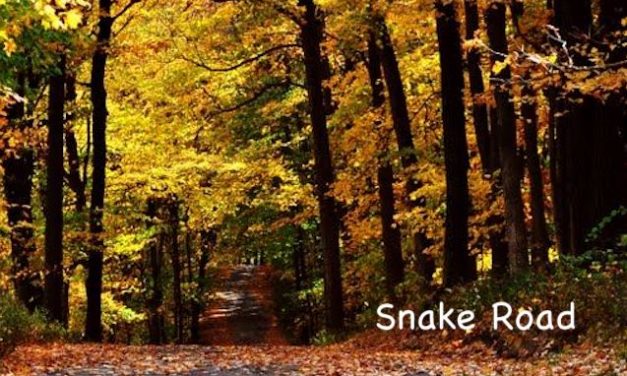 Living Here, September 16, 2020