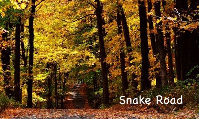 Living Here, September 16, 2020