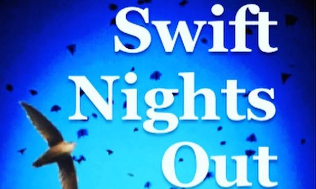 Little Gems, September 9, 2020