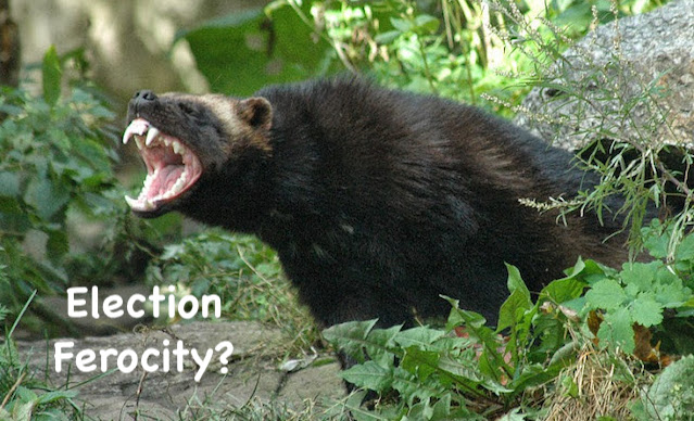 Opinion/Editorial, September 16, 2020