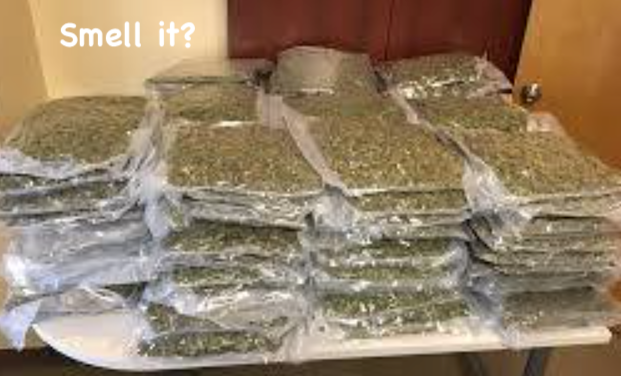 The Bright Side, September 16, 2020