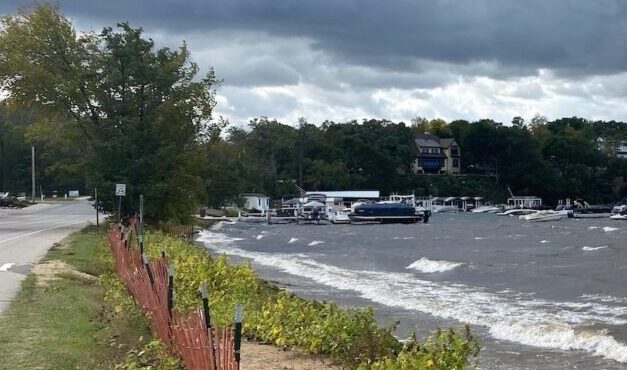 Surprising Stuff, August 28, 2024