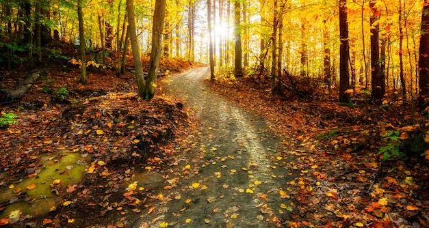 Living Here, October 21, 2020