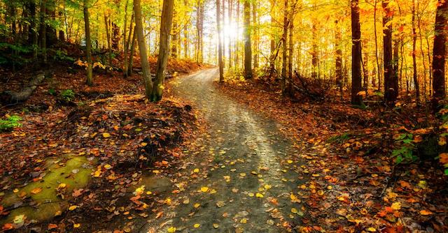 Living Here, October 21, 2020