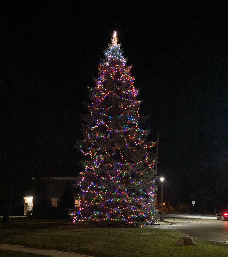 Christmas Tree Lake Geneva