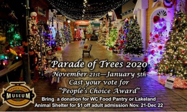 Our Place, November 25. 2020