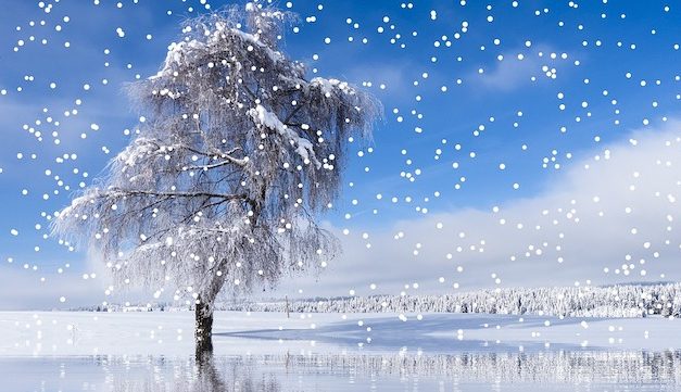 Front Page, November 18, 2020