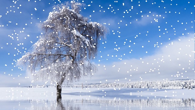 Front Page, November 18, 2020