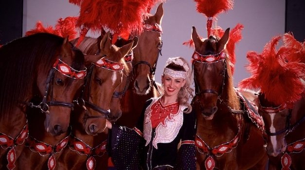 The Bright Side, November 25, 2020