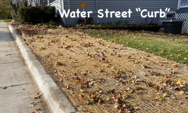 Little Gems, November 4, 2020