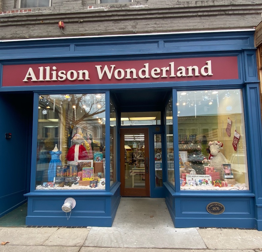 Allsion Wonderland Toy Store Lake Geneva