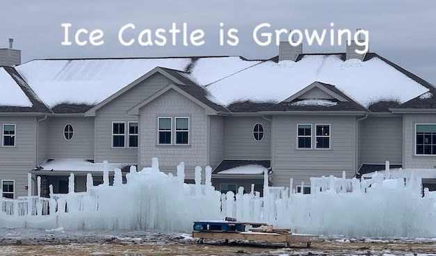 Surprising Stuff, December 23, 2020