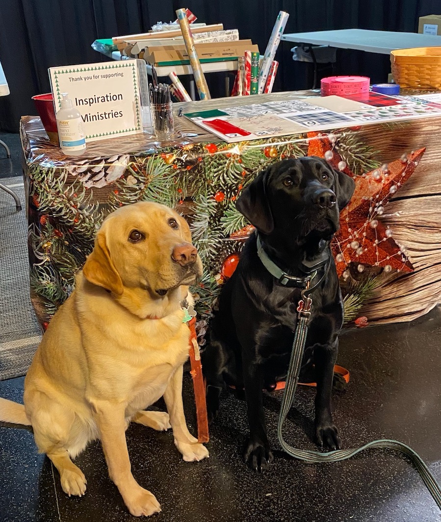 Bottle Shop Dogs Lake Geneva