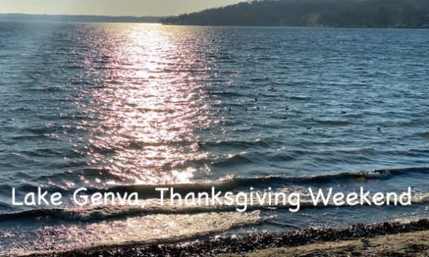 Surprising Stuff, December 2, 2020