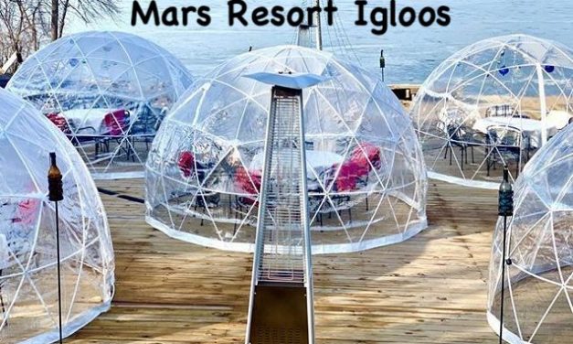 The Bright Side, December 30, 2020