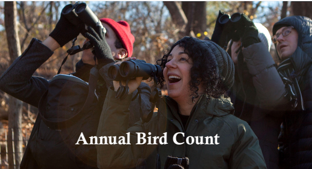 The Bright Side, January 27, 2021