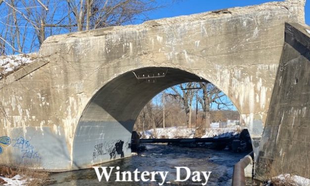 Surprising Stuff, January 27, 2021