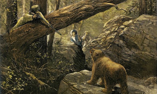 Living Here, February 17, 2021