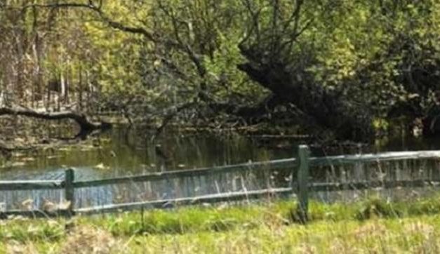 Living Here, March 3, 2021