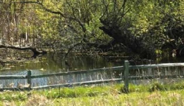 Living Here, March 3, 2021