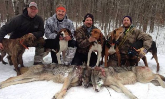 Opinion/Editorial, March 3, 2021