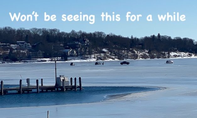 Little Gems, March 17, 2021