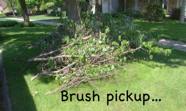 Little Gems, March 30, 2022