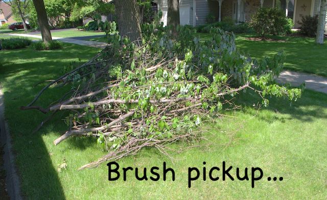 Little Gems, March 31, 2021