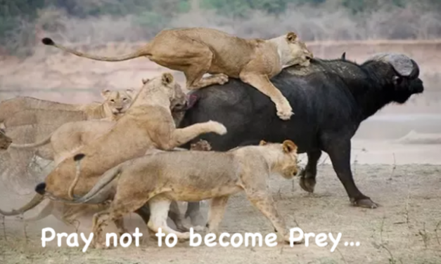 Opinion/Editorial, May 19, 2021