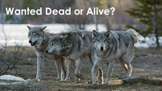 The Bright Side. May 12, 2021