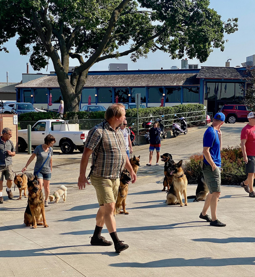 Animal Training Lake Geneva