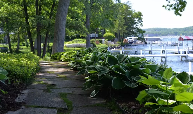 Little Gems, August 11, 2021