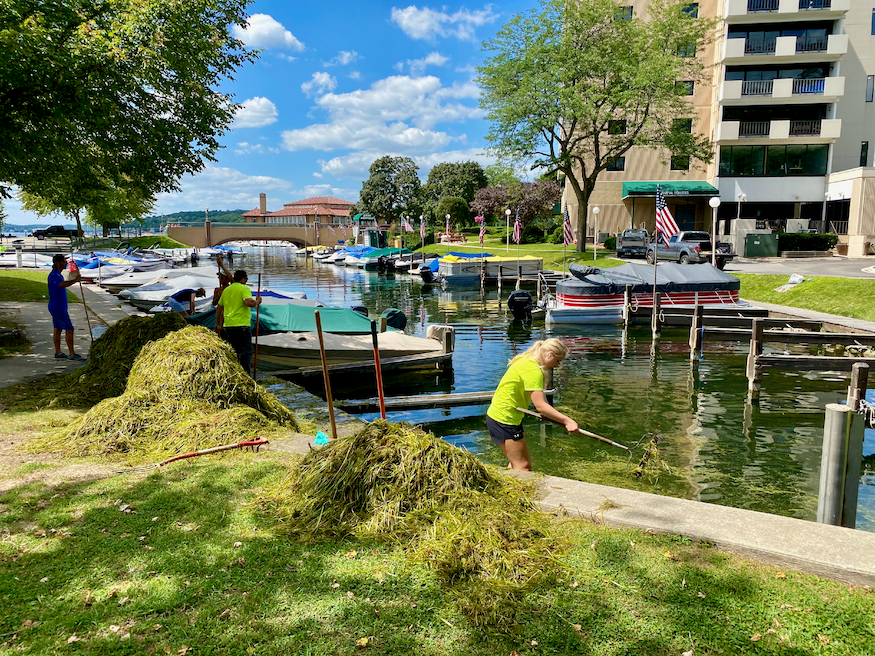 Cleaning Lagoon Grass Lake geneva