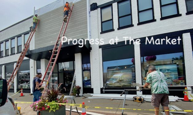 Surprising Stuff, August 4, 2021