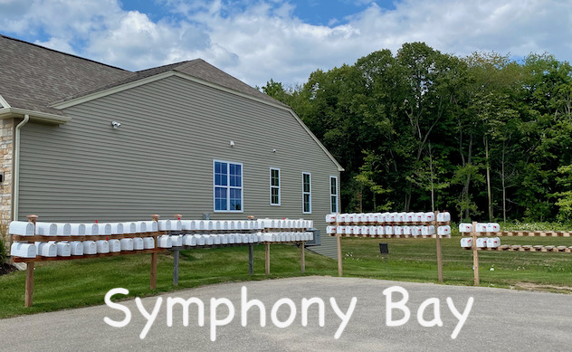 Little Gems, July 10, 2024