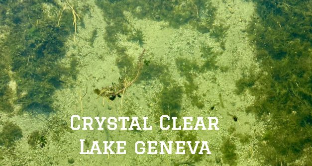 Surprising Stuff, September 29, 2021