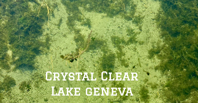 Surprising Stuff, September 29, 2021