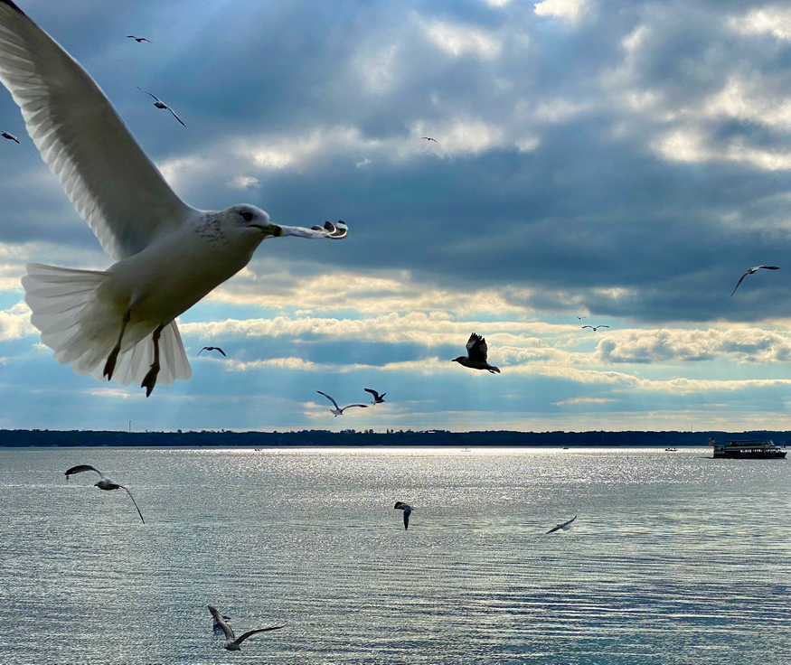Geneva Lake