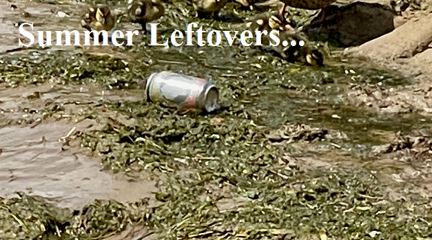 Front Page, November 17, 2021