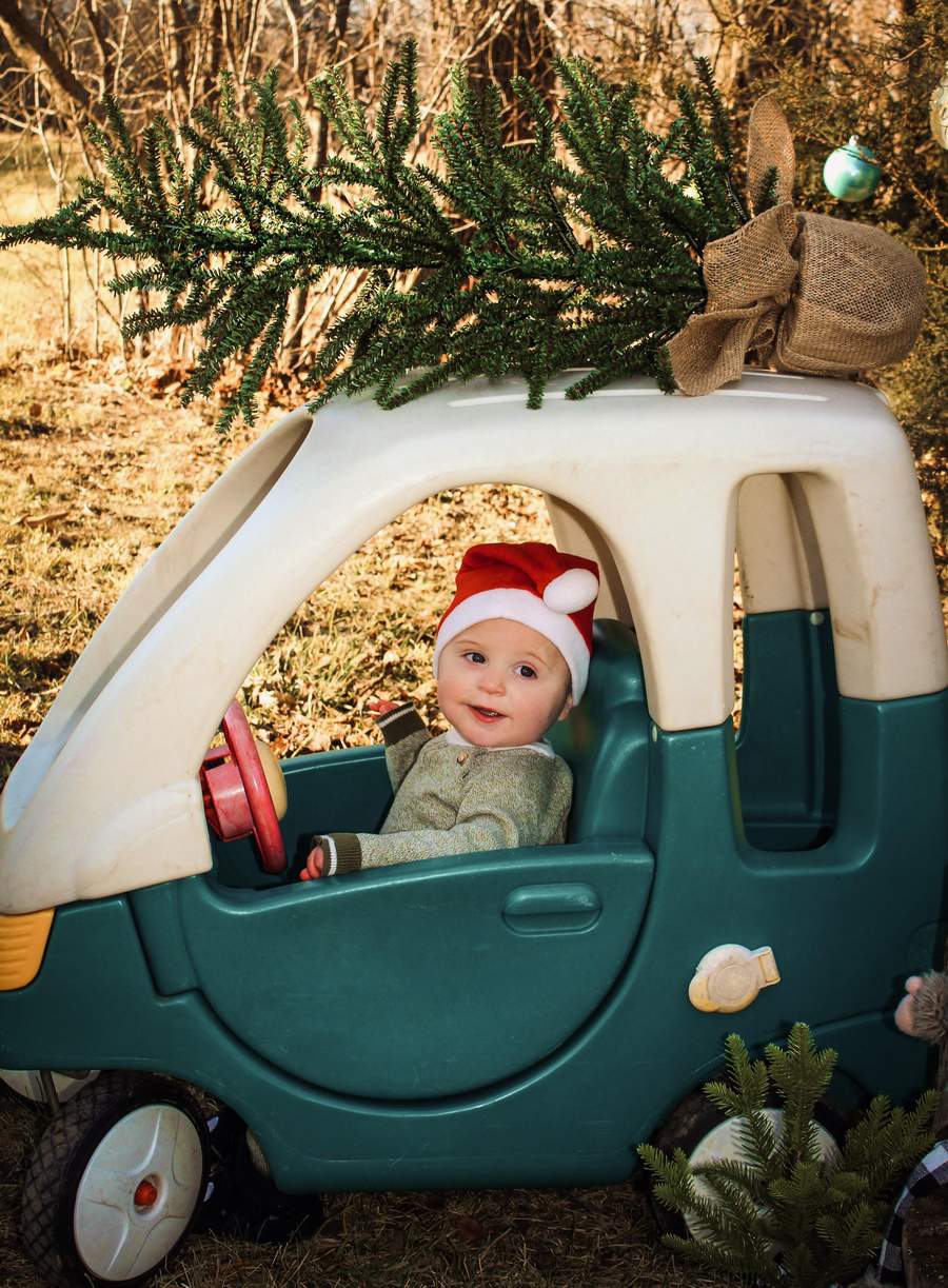 Christmas Tree Delivery