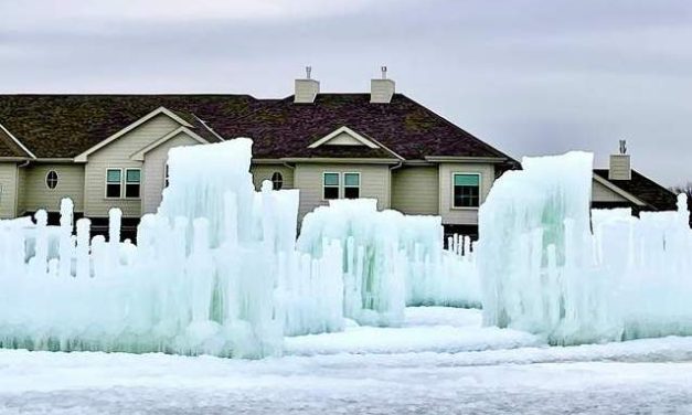 Living Here, December 15, 2021